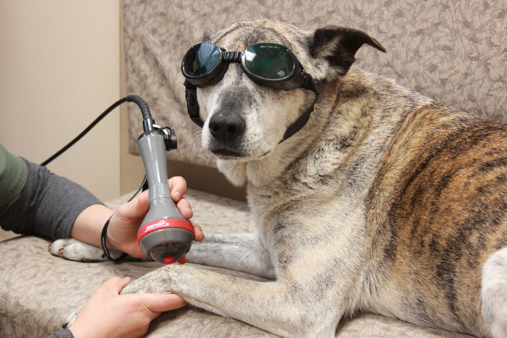Laser Therapy Selkirk, MB